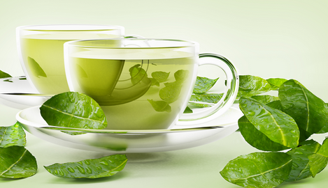 Green Tea Weight Loss in 1 Month